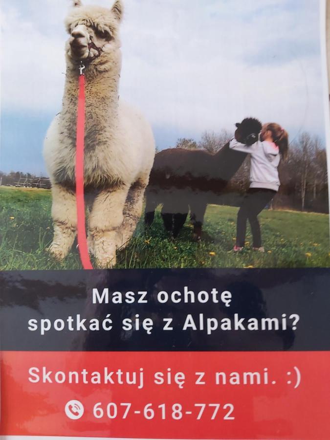 Apartamenty Smaczek Gołdap Екстериор снимка
